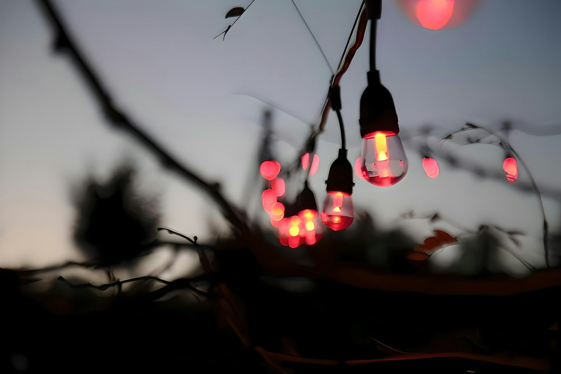 Sfeerverlichting op de gevel van De Rietwijker
